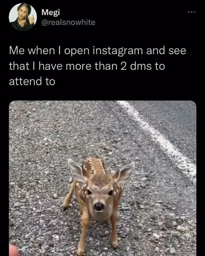 Baby deer on a road, funny memes theme referencing social media overload.