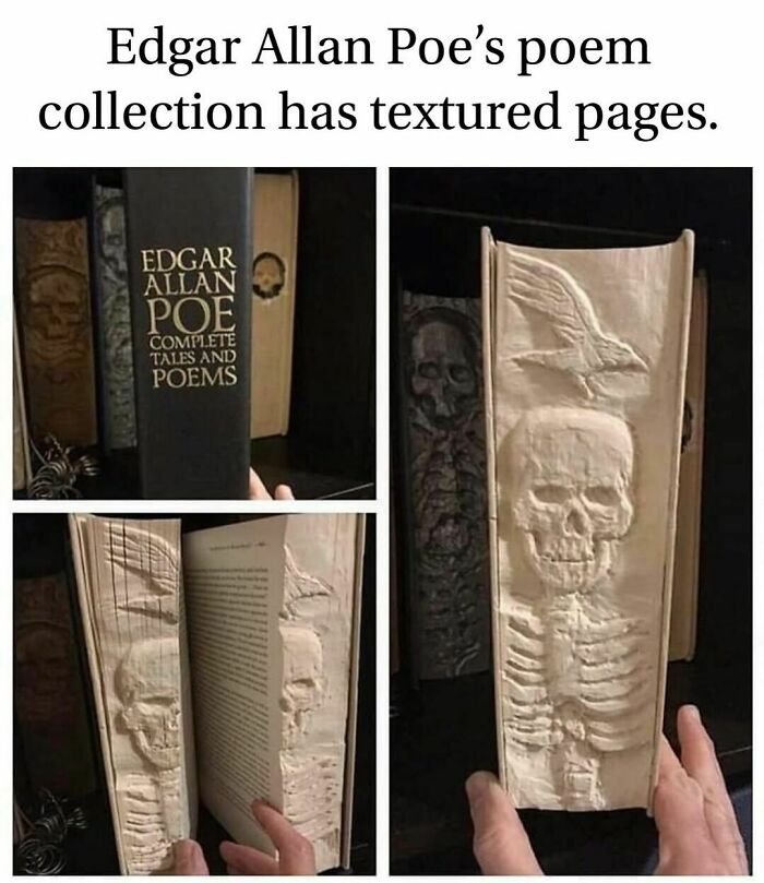 Book with textured pages featuring a skull and raven design, combining humor and horror elements.