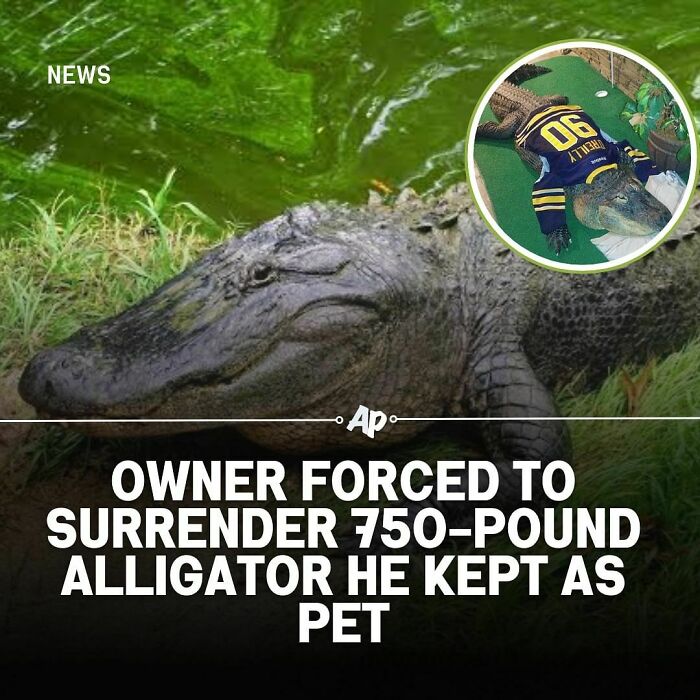 Interesting-Animal-Facts