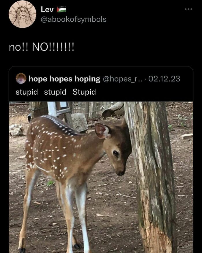 Deer humorously headbutting a tree, part of funny memes theme.