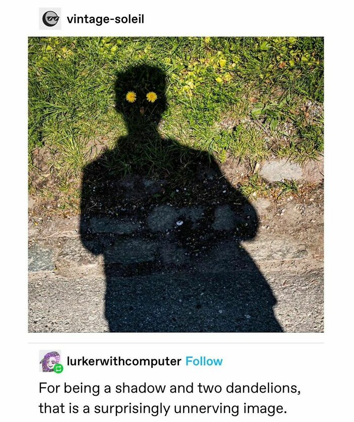 Shadow of person with dandelions as eyes on grass, creating a funny meme with a twist of horror.