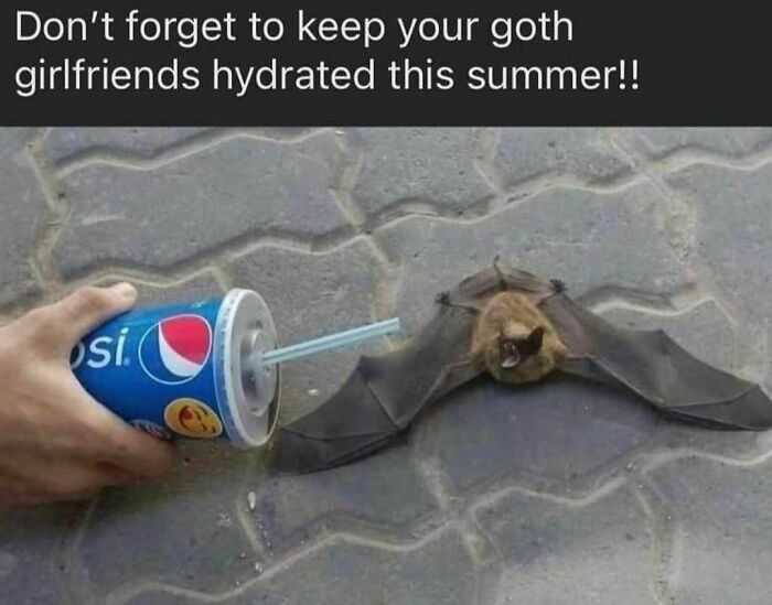 A bat with open wings near a drink cup on pavement, humor with a twist of horror.