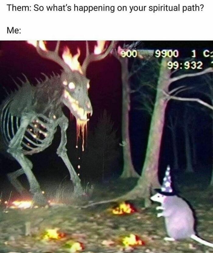 A funny meme featuring a spooky skeletal creature and a mouse in a wizard hat in a forest.