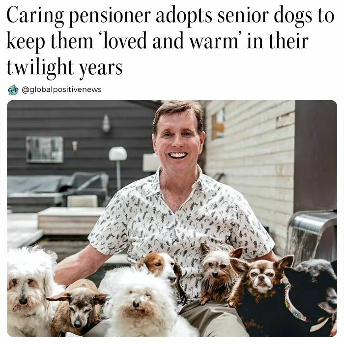 Smiling man in a patterned shirt lovingly surrounded by senior dogs, embodying uplifting stories of kindness.