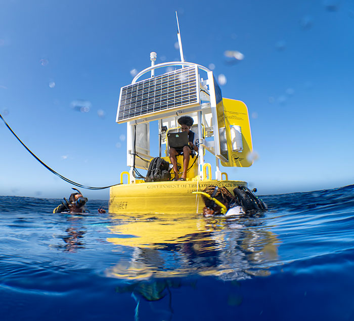 AI Is Translating Whale Language, Which May Help Us Communicate With Extraterrestrials One Day