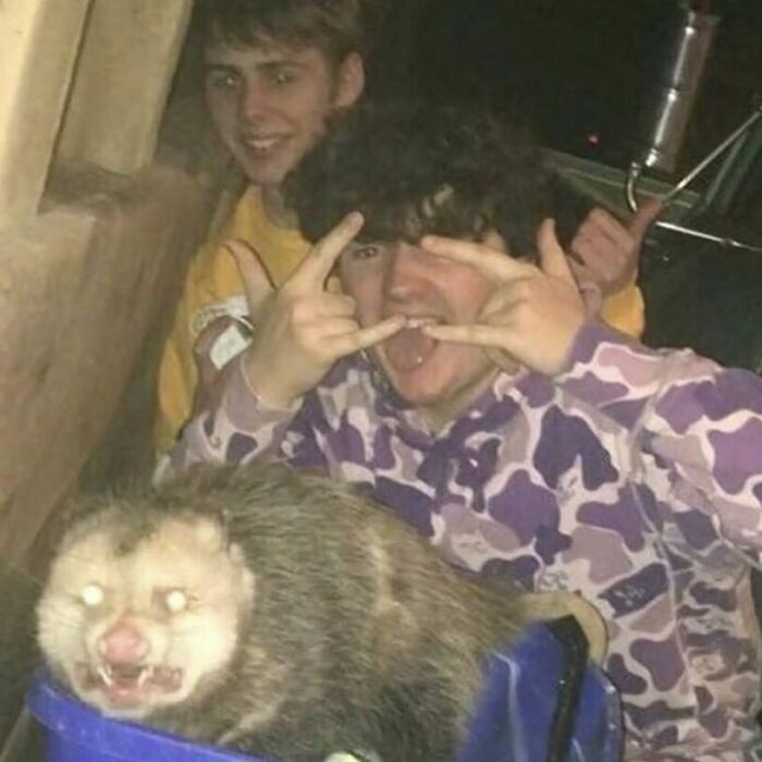 50 Of The Most Cursed Images For People Who Have A Higher Tolerance For Weirdness