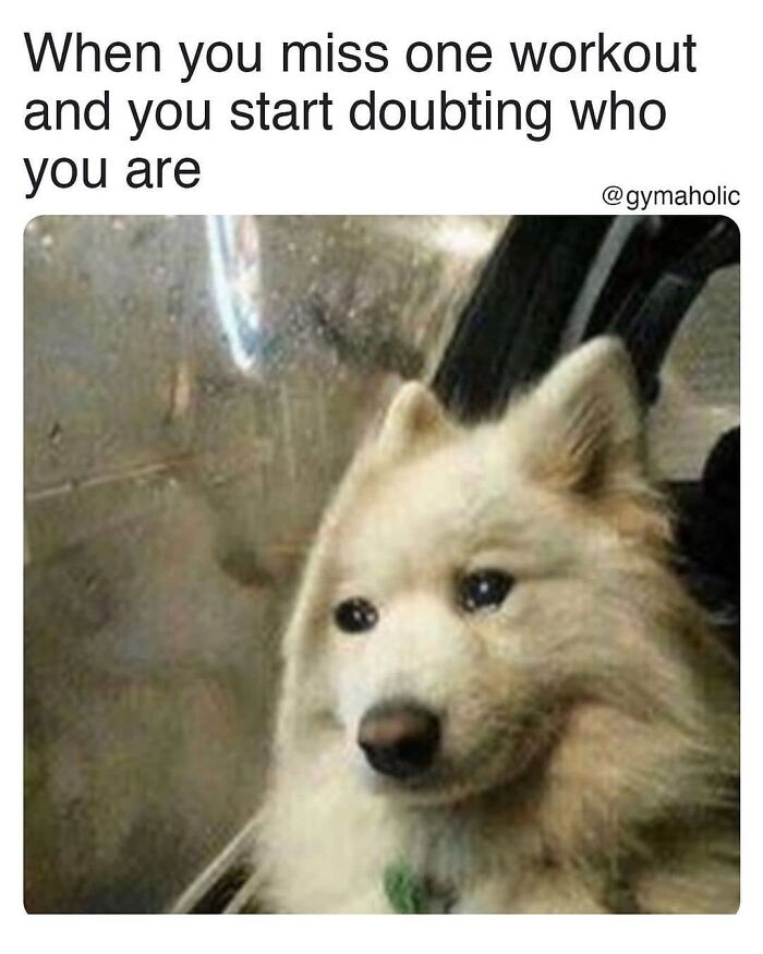 Funny-Gym-Memes-Gymmemesig