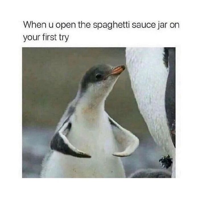 Penguin with wings outstretched, humorously capturing the feeling of opening a jar, ideal for bird memes.