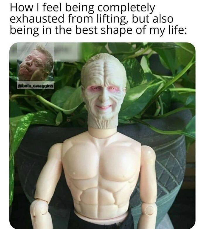 Funny-Gym-Memes-Gymmemesig