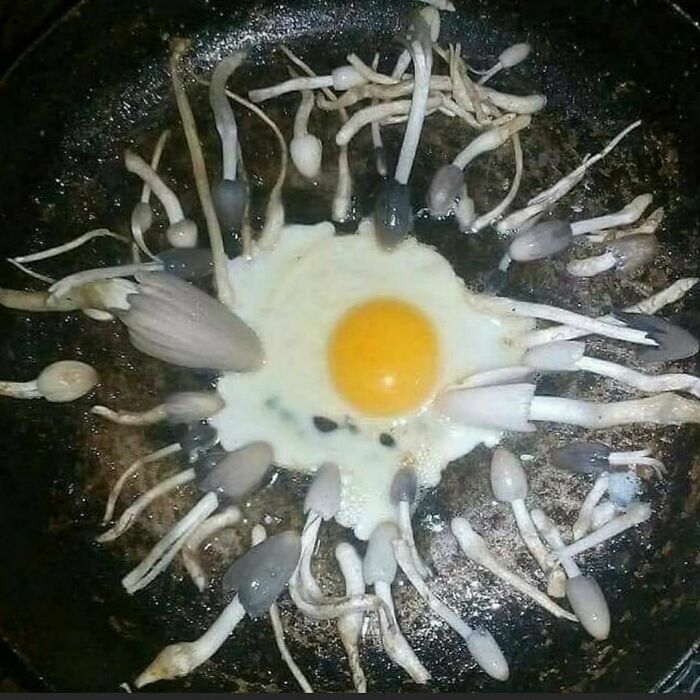 50 Of The Most Cursed Images For People Who Have A Higher Tolerance For Weirdness