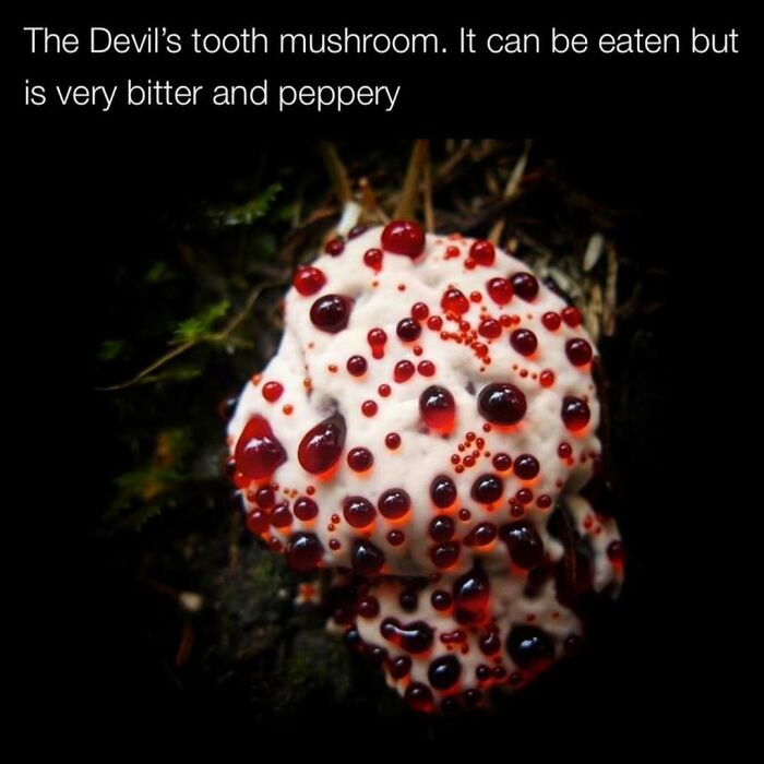 Mind-Blowing-Theories-Conspiracyfeedig