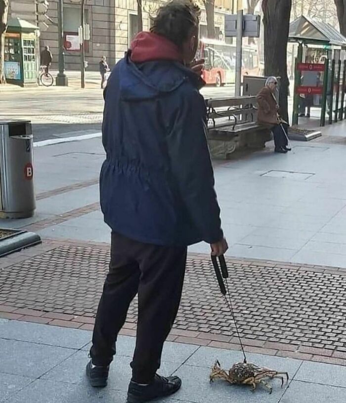 50 Of The Most Cursed Images For People Who Have A Higher Tolerance For Weirdness