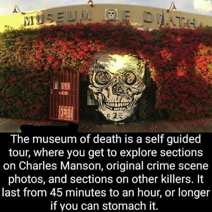 Mind-Blowing-Theories-Conspiracyfeedig