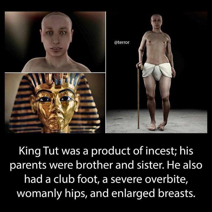 Illustration of King Tut with pharaoh mask; details highlight his genetic abnormalities and familial background.
