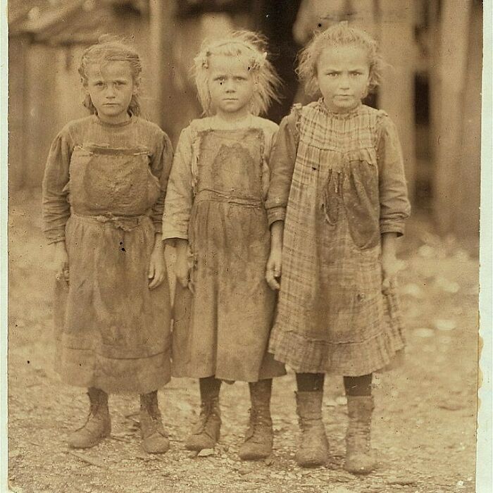 Josie, Six Years Old, Bertha, Six Years Old, And Sophie, 10 Years Old. All Shuckers At Maggioni Canning Co. Location: Port Royal, South Carolina. Circa 1911
