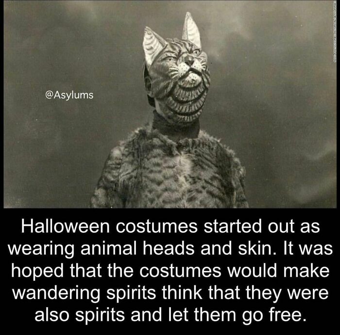 Person wearing a creepy vintage animal costume with a cat head, illustrating weird facts from a creepy facts Instagram account.