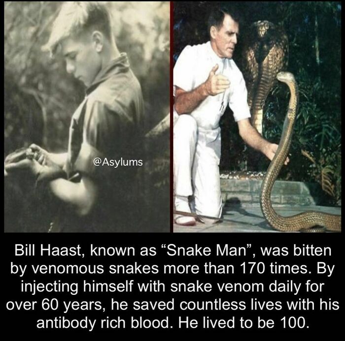 Black and white and color images of Bill Haast called Snake Man, bitten by snakes and injecting venom daily, creepy weird facts.