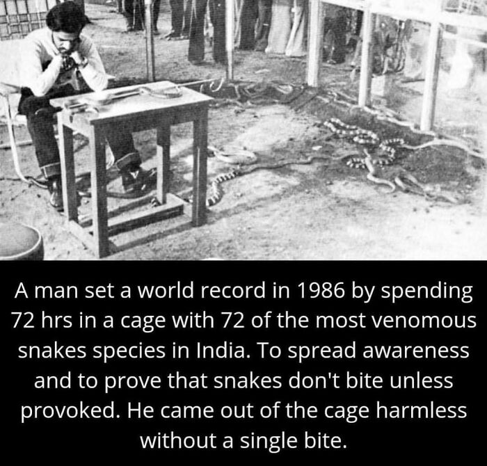 Man sitting in a cage with 72 venomous snakes in India proving snakes don’t bite unless provoked, weird facts.