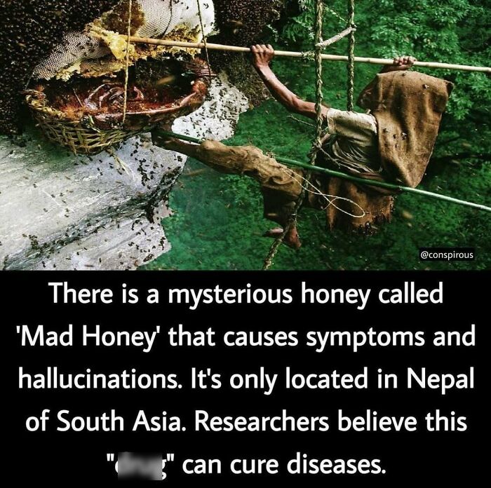 Mind-Blowing-Theories-Conspiracyfeedig