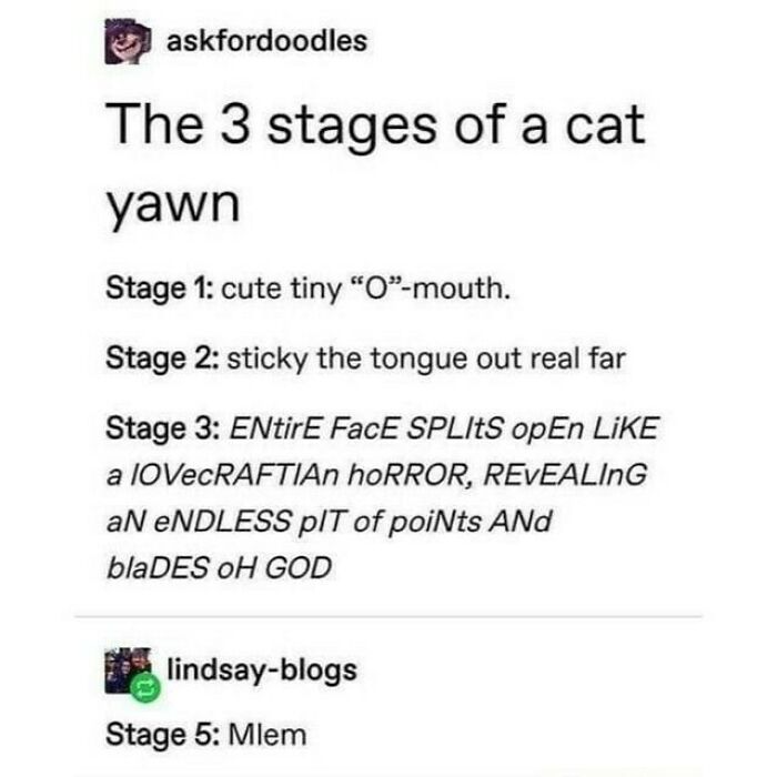 Funny-Tumblr-Jokes-Stoleitfromtumblr