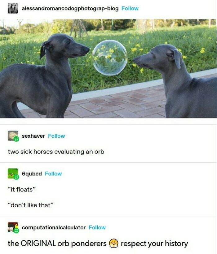 Funny-Tumblr-Jokes-Stoleitfromtumblr