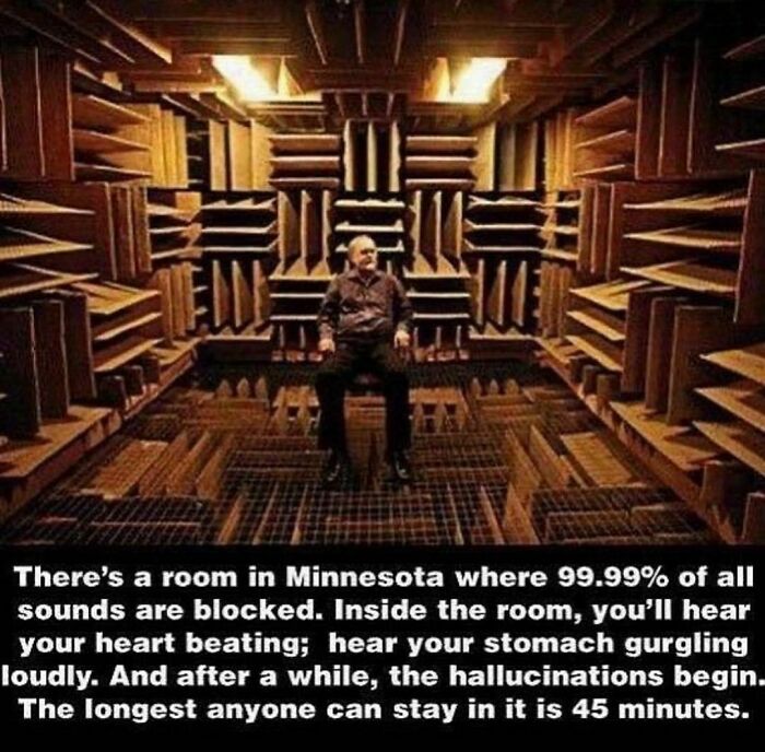 Man sitting in a soundproof room in Minnesota where 99.99% of sounds are blocked, causing creepy hallucinations.