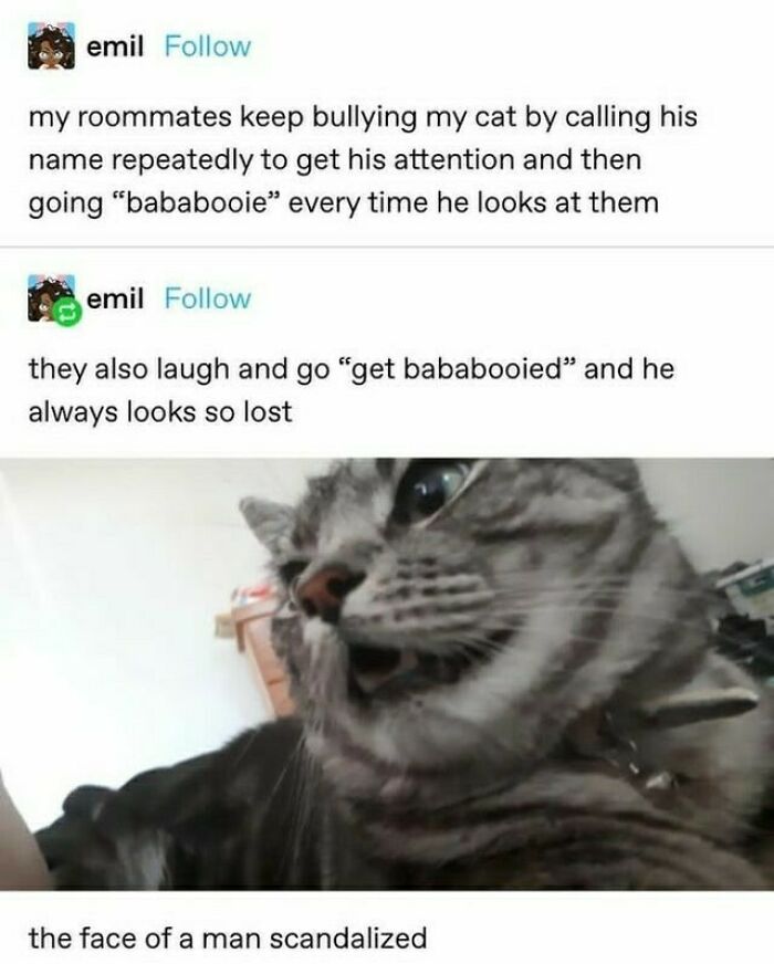 Funny-Tumblr-Jokes-Stoleitfromtumblr