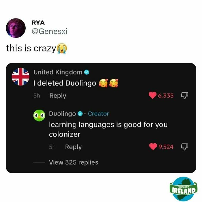 Funny Meanwhile in Ireland meme with a sarcastic Duolingo reply to a UK comment.