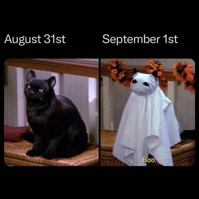 Creepy-Horror-Memes-Creepyholics