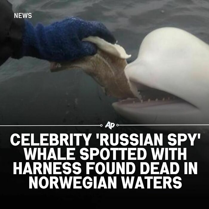 Interesting-Animal-Facts