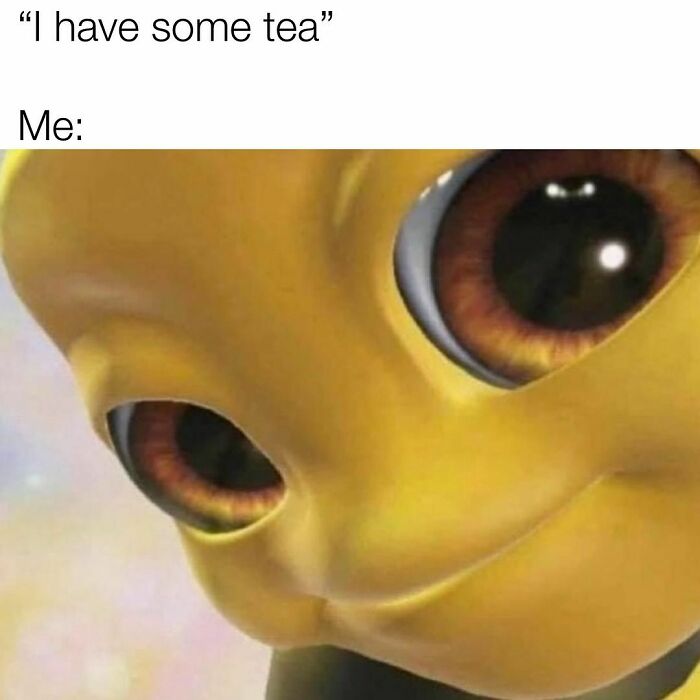 Relatable-Girl-Memes