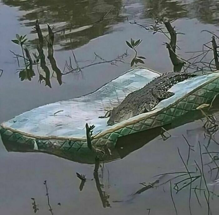 Cringe-Uncomfortable-Ig-Pics