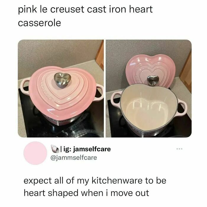 Pink heart-shaped Le Creuset cast iron casserole on a stove; a relatable meme about kitchenware preferences.