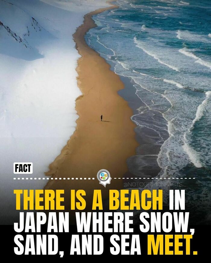 Interesting-Facts-Ig-Notcommonfacts