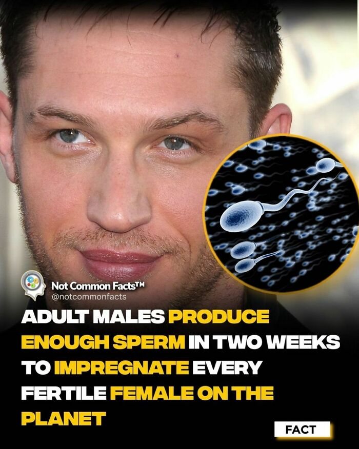 Interesting-Facts-Ig-Notcommonfacts