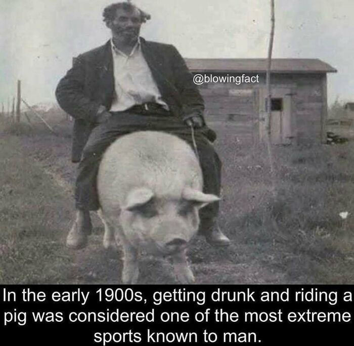 Mind-Blowing-Theories-Conspiracyfeedig