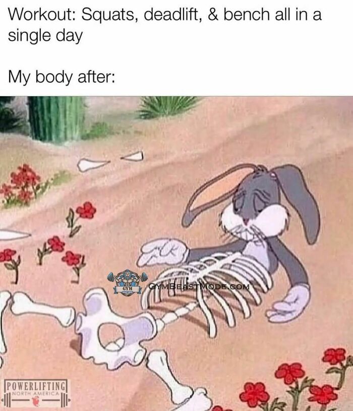 Funny-Gym-Memes-Gymmemesig