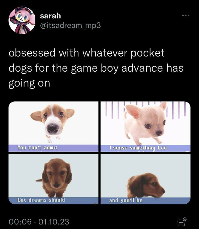 Cute pocket dog memes resembling Game Boy Advance graphics with funny captions.