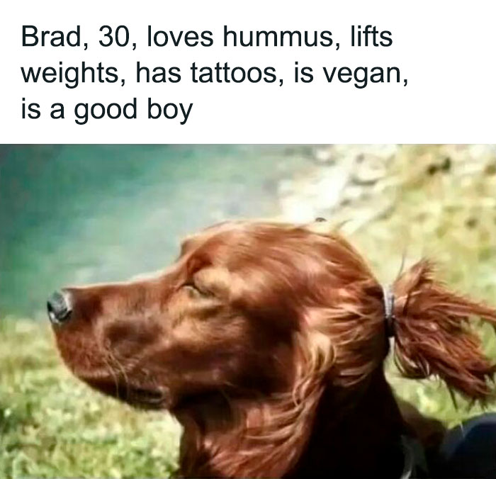 Funny-Wholesome-Dog-Memes