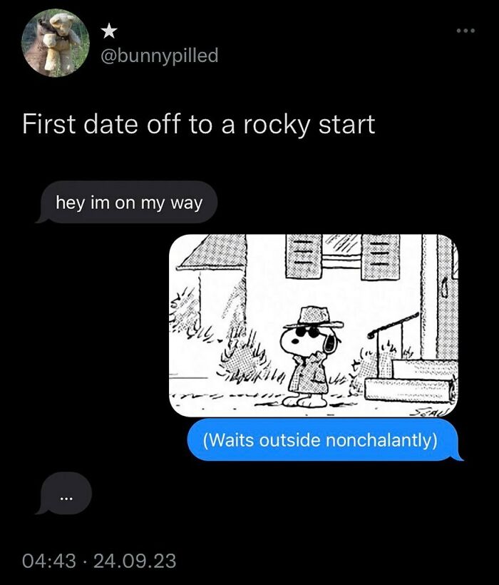 Dog in a fedora waiting outside nonchalantly, part of a funny memes text exchange.