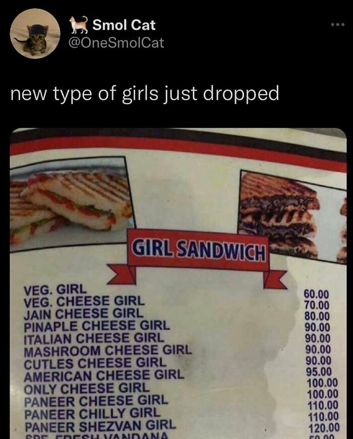 Funny meme of a menu listing humorous girl sandwich varieties with prices.
