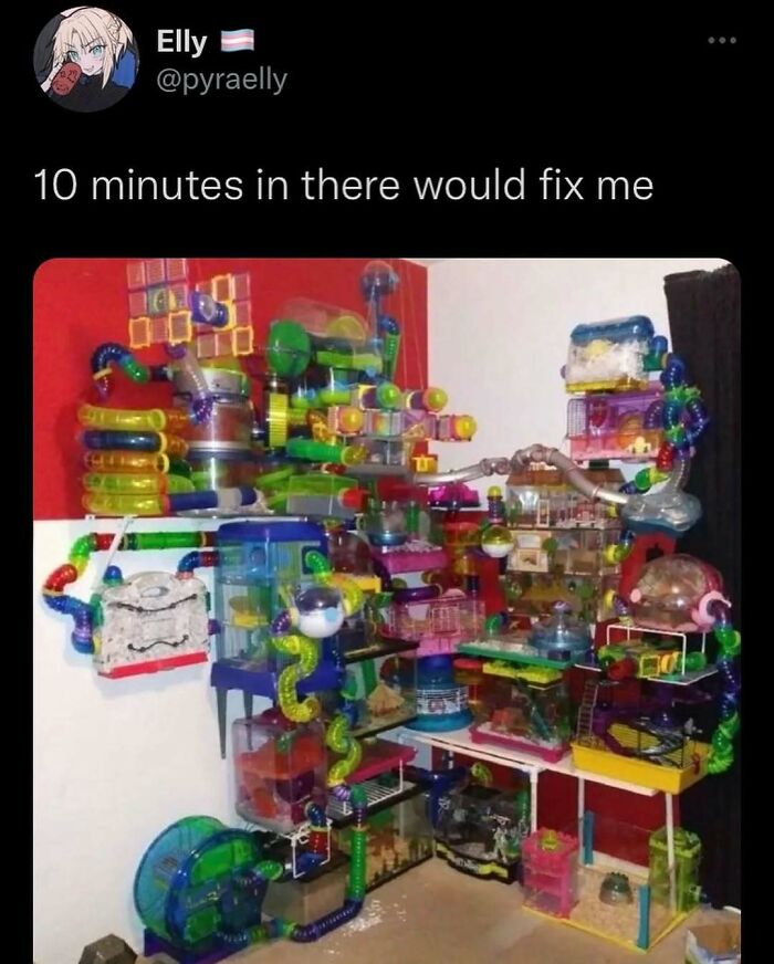 Colorful hamster maze with tubes and wheels, showcasing a funny meme vibe from "Unbruhthered."