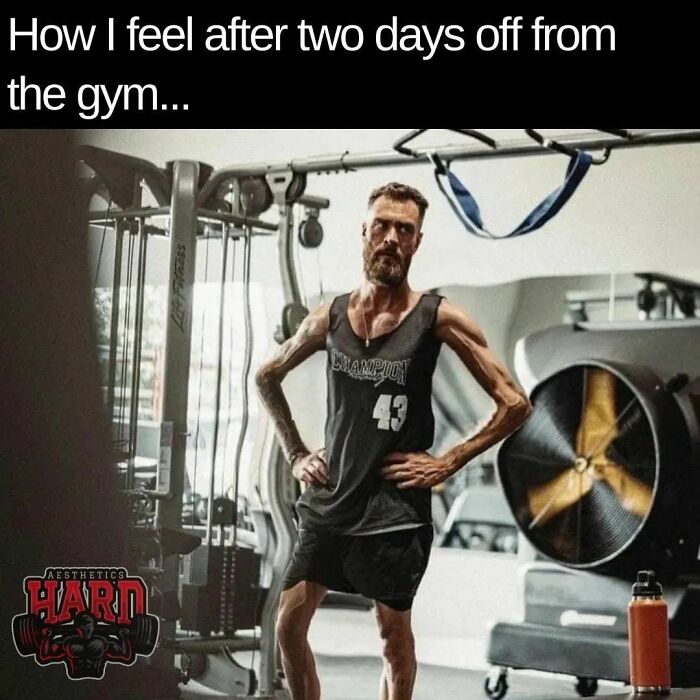 Funny-Gym-Memes-Gymmemesig