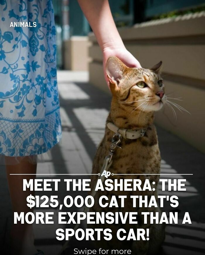 Interesting-Animal-Facts