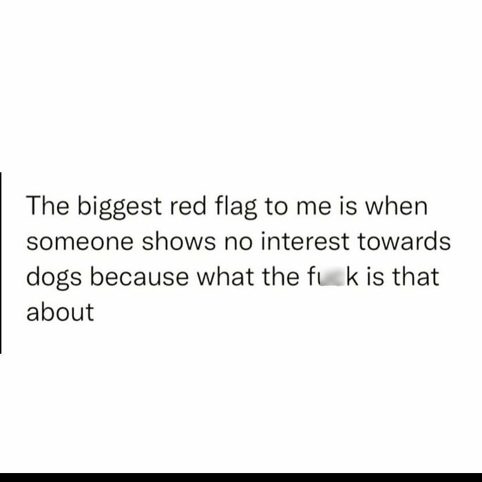 Meme text about the red flag of showing no interest in dogs, highlighting humorous skepticism.