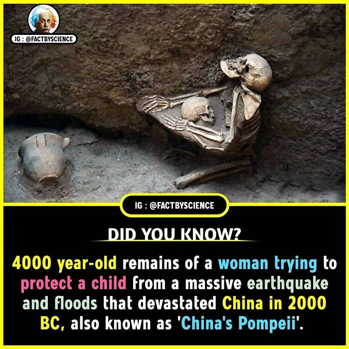Skeletons from 2000 BC in China, known as 'China's Pompeii', depict a woman protecting a child during a disaster.