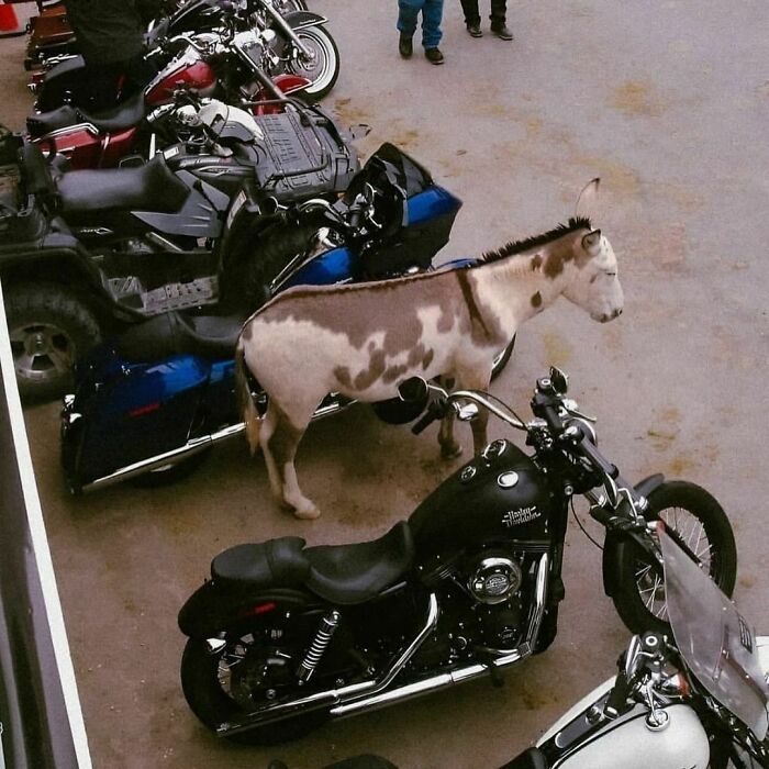 Cringe-Uncomfortable-Ig-Pics