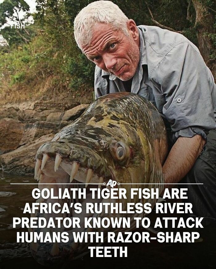 Interesting-Animal-Facts