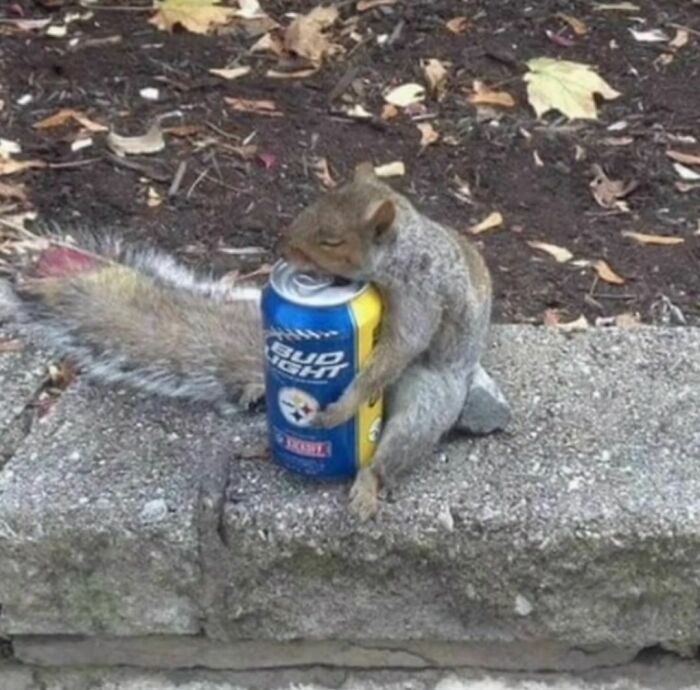 Cringe-Uncomfortable-Ig-Pics