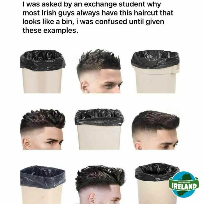 Hairstyle resembling a bin lid in a funny meme about Ireland.